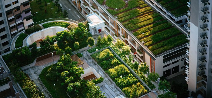 La démarche cradle to cradle dans le bâtiment est-elle une utopie ?