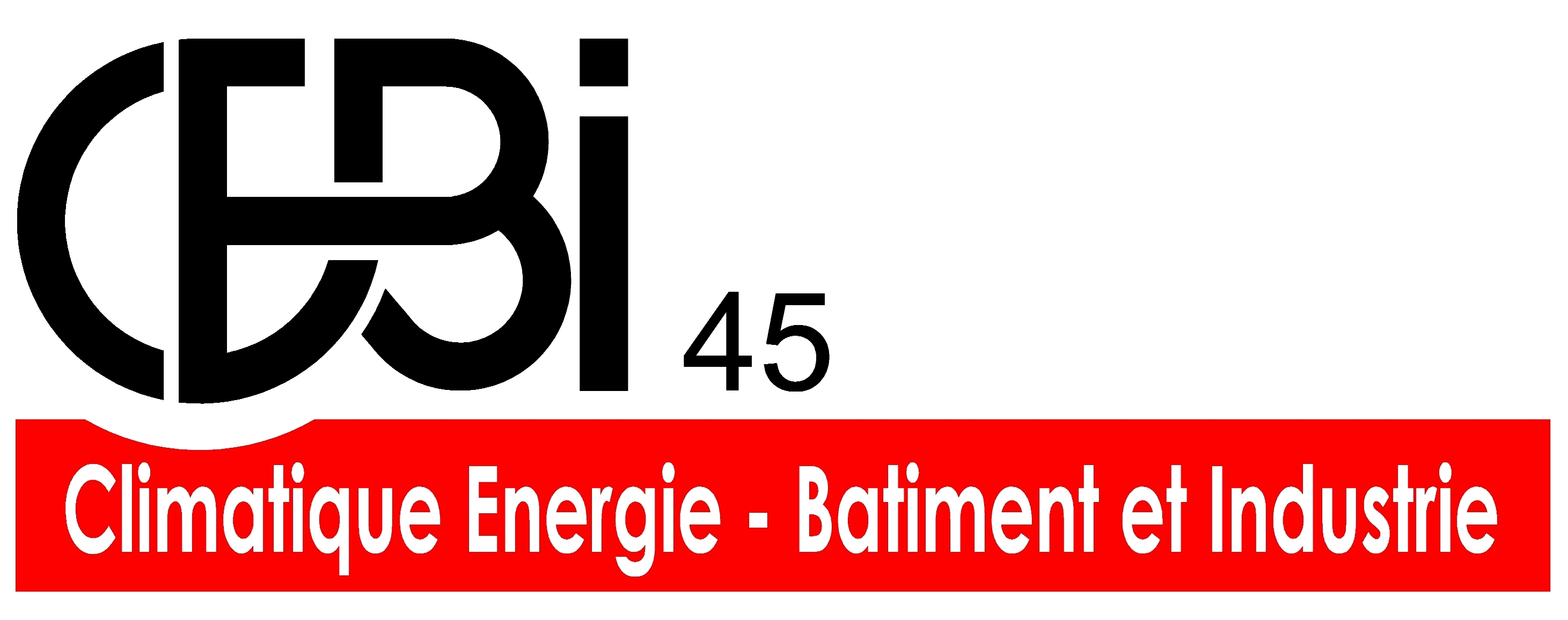 CEBI 45 LOGO