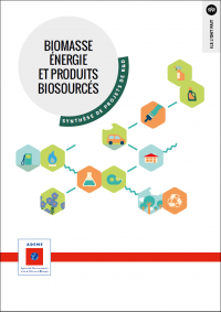 Biomasse énergie et produits biosourcés : synthèse de projets de R&D