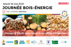 Journée Bois Énergie 2021 : changer d’échelle pour réussir la transition énergétique 