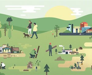 Vers l'économie circulaire de la filière bois
