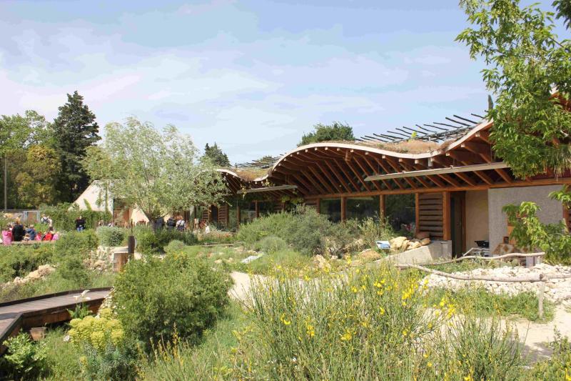 Pour un habitat plus sobre : l’architecture frugale et créative