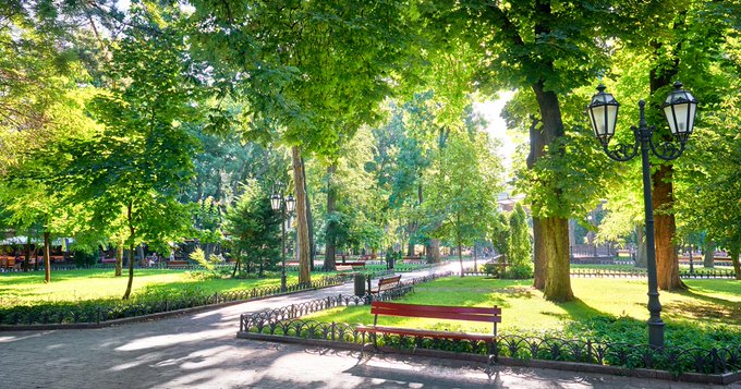 Aménagement : implanter une forêt urbaine sur son territoire