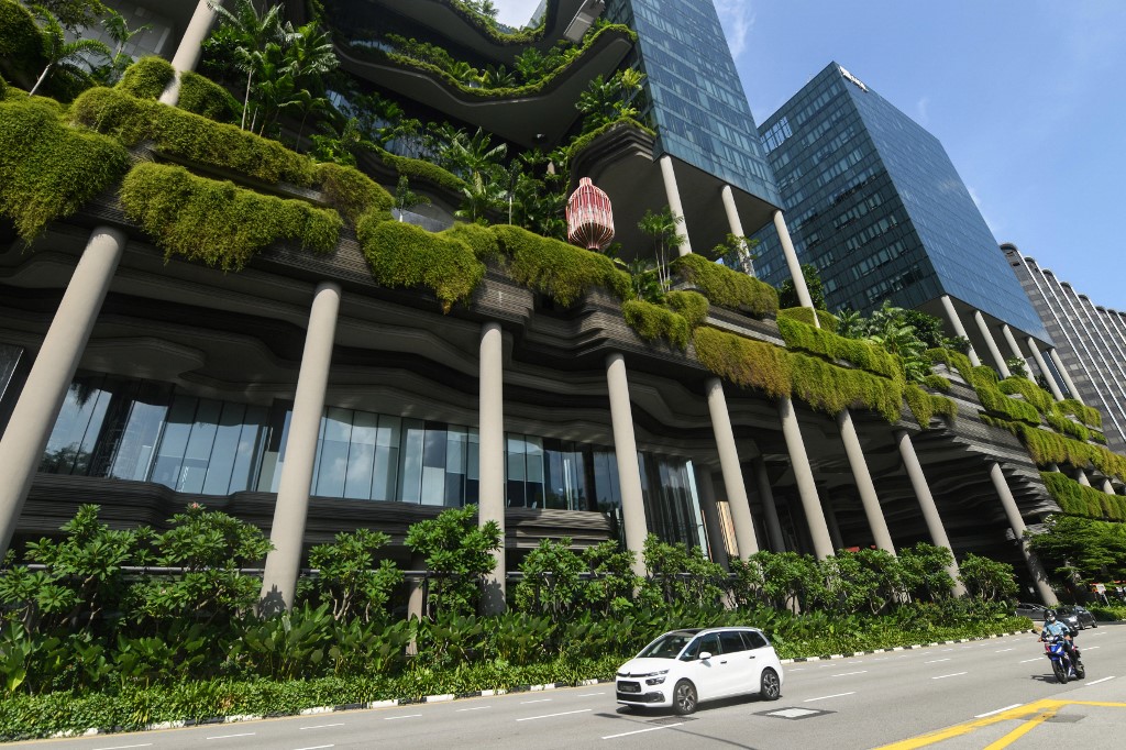 Biodiversité urbaine : demain, des villes plus vivantes ?